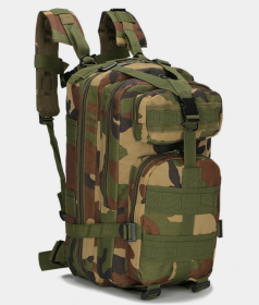 Tactical 25L, 24 Hour Assault Pack,  Molle (Color: Camo)